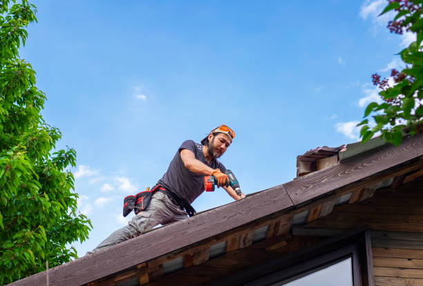 Reliable Ceredo, WV  Roofing repair and installation Solutions