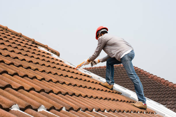Best Gutter Installation and Repair  in Ceredo, WV