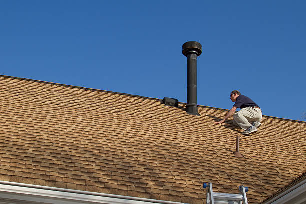 Best Roof Moss and Algae Removal  in Ceredo, WV